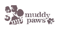 Website Designing in Kalyan Mumbai