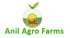 Website Designing in Kalyan Mumbai